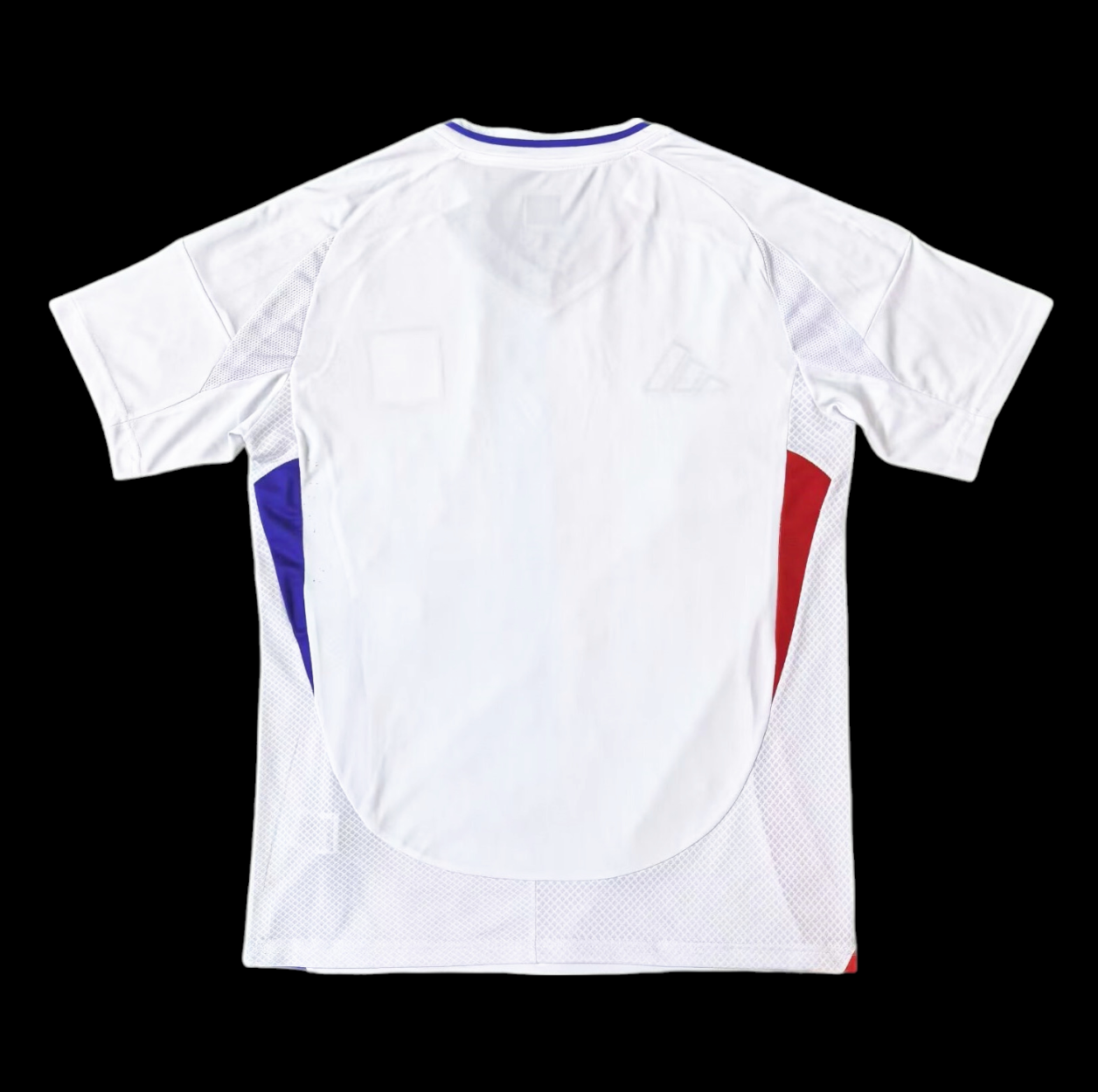 Lyon Maillot Domicile 24/25